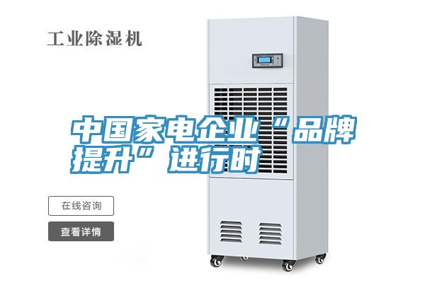 中國家電企業(yè)“品牌提升”進行時