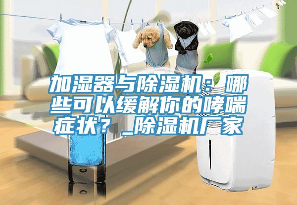 加濕器與除濕機：哪些可以緩解你的哮喘癥狀？_除濕機廠家