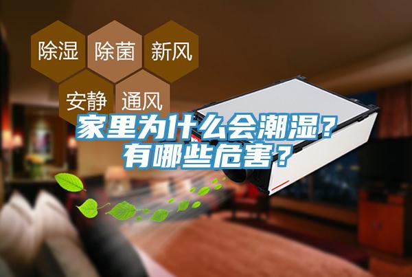 家里為什么會潮濕？有哪些危害？