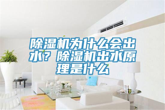 除濕機為什么會出水？除濕機出水原理是什么