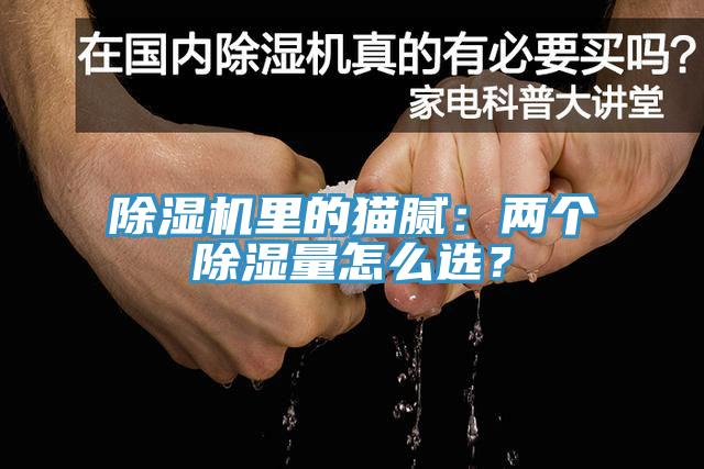 除濕機(jī)里的貓膩：兩個(gè)除濕量怎么選？