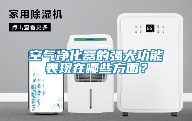 空氣凈化器的強大功能表現在哪些方面？