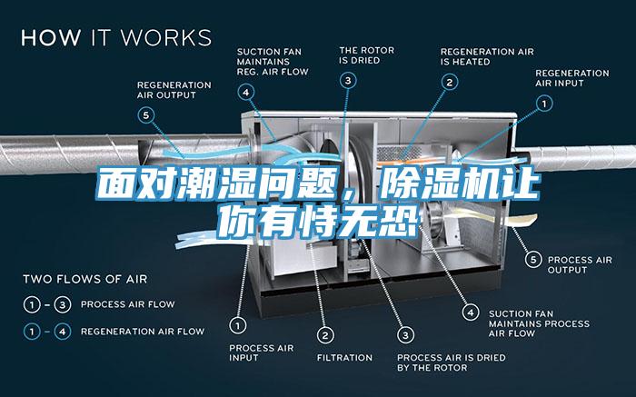 面對潮濕問題，除濕機讓你有恃無恐