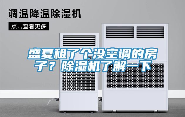 盛夏租了個沒空調(diào)的房子？除濕機了解一下