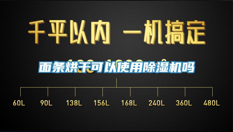 面條烘干可以使用除濕機嗎