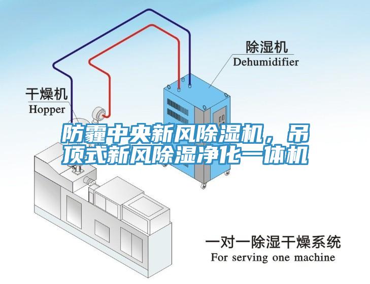 防霾中央新風(fēng)除濕機(jī)，吊頂式新風(fēng)除濕凈化一體機(jī)