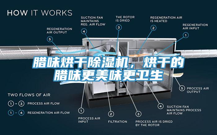 臘味烘干除濕機(jī)，烘干的臘味更美味更衛(wèi)生