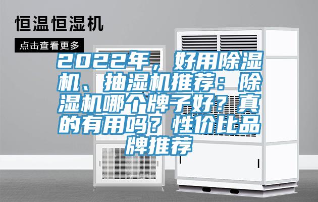 2022年，好用除濕機、抽濕機推薦：除濕機哪個牌子好？真的有用嗎？性價比品牌推薦