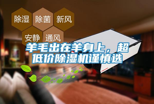 羊毛出在羊身上，超低價除濕機謹慎選