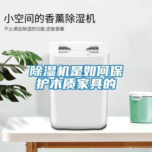 除濕機是如何保護木質家具的