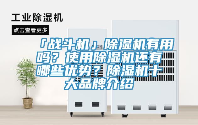 「戰斗機」除濕機有用嗎？使用除濕機還有哪些優勢？除濕機十大品牌介紹