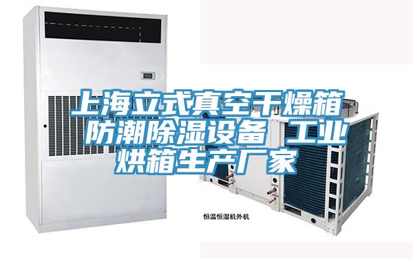 上海立式真空干燥箱 防潮除濕設備 工業烘箱生產廠家