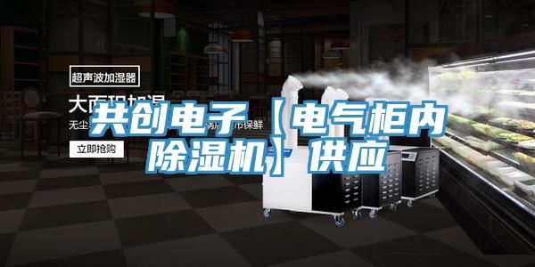 共創(chuàng)電子【電氣柜內除濕機】供應