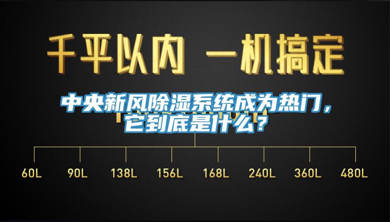 中央新風(fēng)除濕系統(tǒng)成為熱門，它到底是什么？