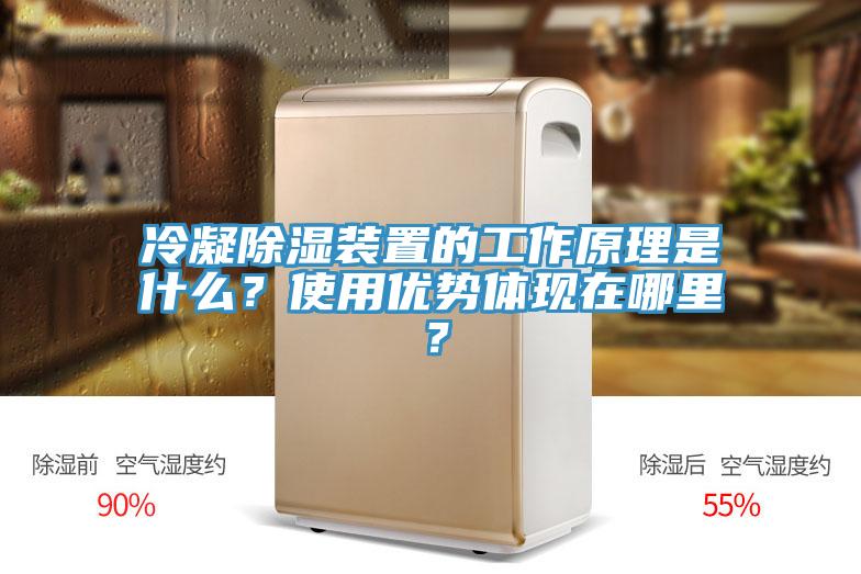 冷凝除濕裝置的工作原理是什么？使用優勢體現在哪里？