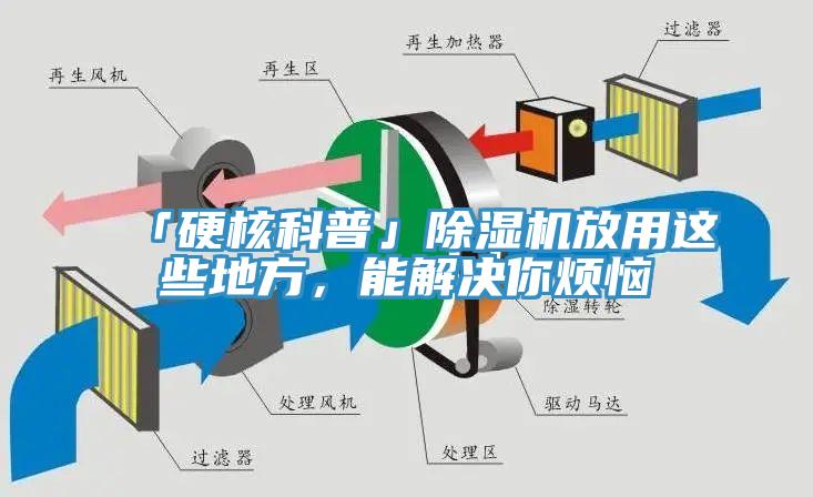 「硬核科普」除濕機放用這些地方，能解決你煩惱