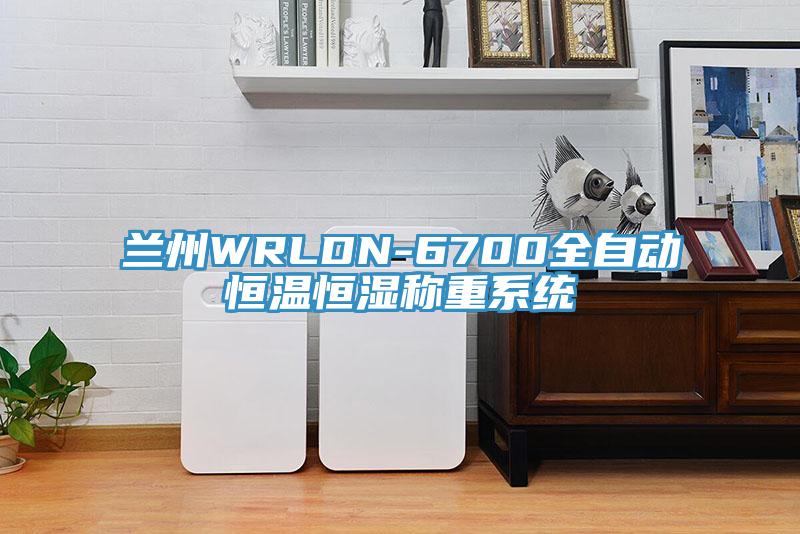 蘭州WRLDN-6700全自動恒溫恒濕稱重系統