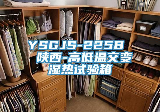 YSGJS-225B  陜西-高低溫交變濕熱試驗箱