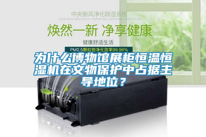 為什么博物館展柜恒溫恒濕機在文物保護中占據主導地位？