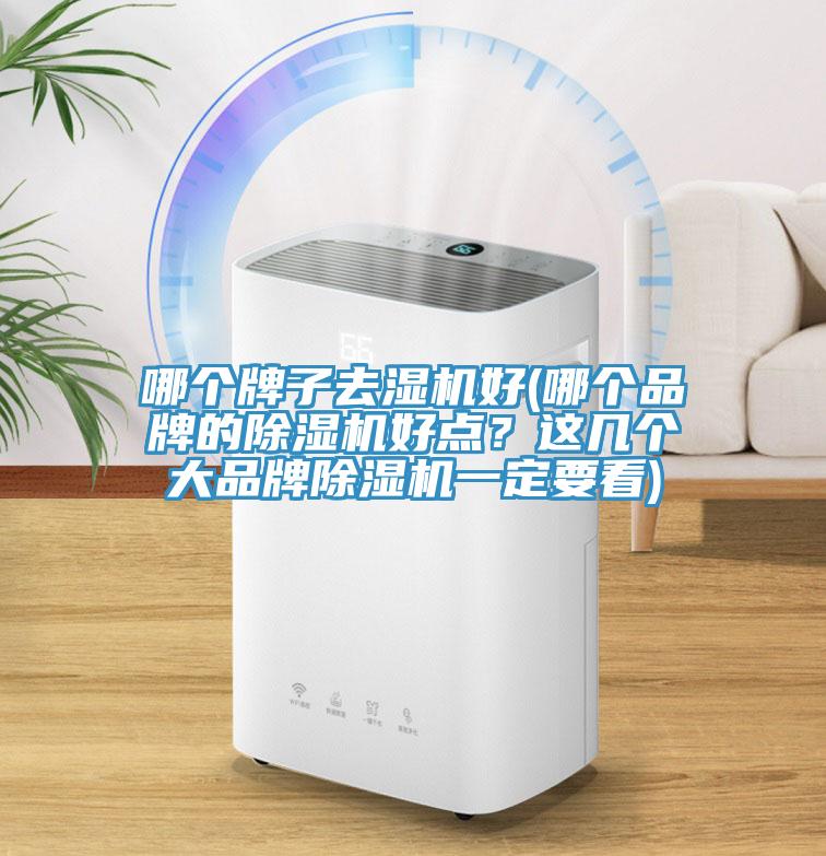 哪個牌子去濕機好(哪個品牌的除濕機好點？這幾個大品牌除濕機一定要看)