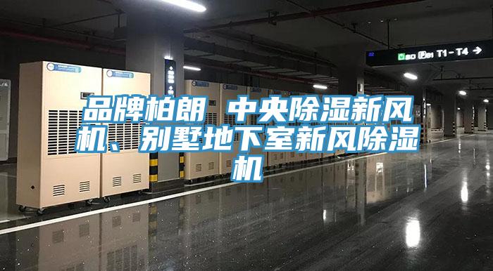 品牌柏朗 中央除濕新風機、別墅地下室新風除濕機