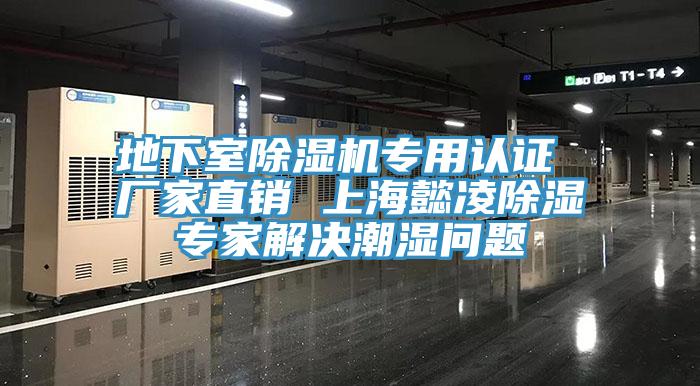 地下室除濕機專用認證 廠家直銷 上海懿凌除濕專家解決潮濕問題