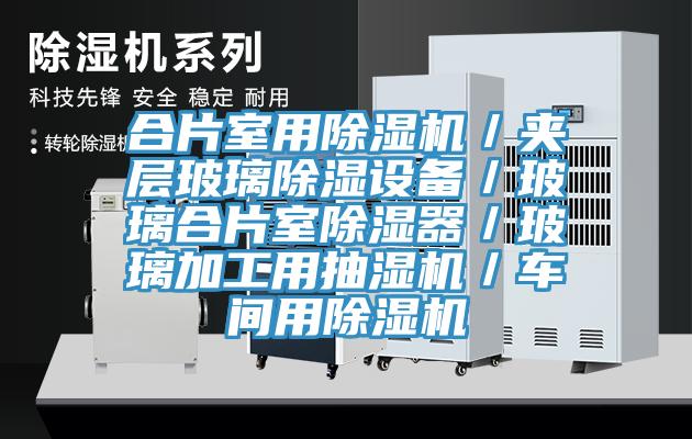 合片室用除濕機(jī)／夾層玻璃除濕設(shè)備／玻璃合片室除濕器／玻璃加工用抽濕機(jī)／車(chē)間用除濕機(jī)