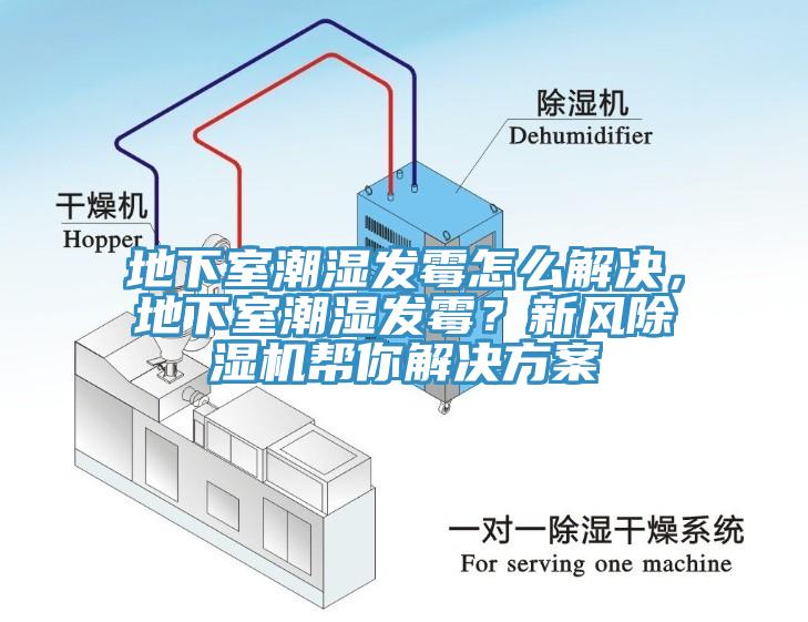 地下室潮濕發(fā)霉怎么解決，地下室潮濕發(fā)霉？新風(fēng)除濕機(jī)幫你解決方案