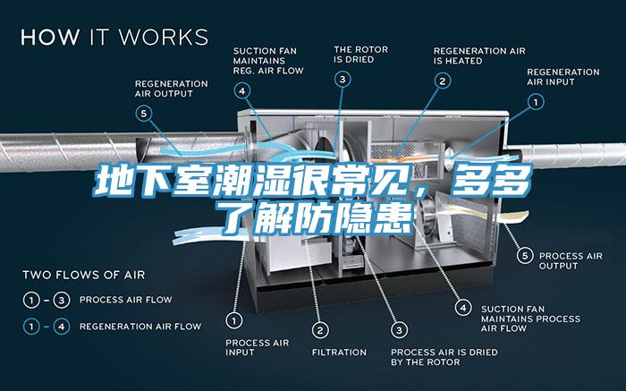 地下室潮濕很常見，多多了解防隱患