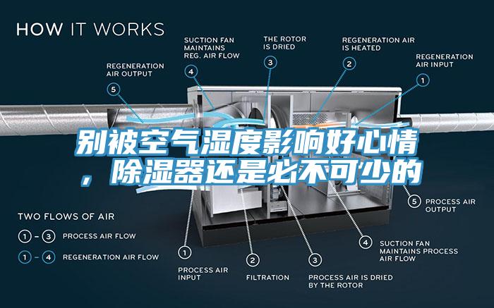 別被空氣濕度影響好心情，除濕器還是必不可少的