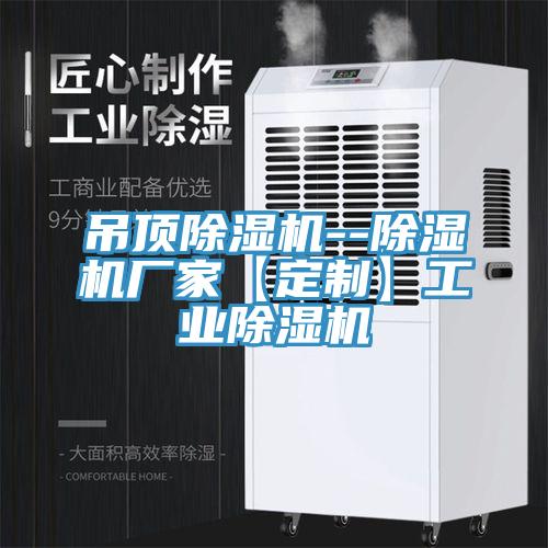 吊頂除濕機--除濕機廠家【定制】工業除濕機