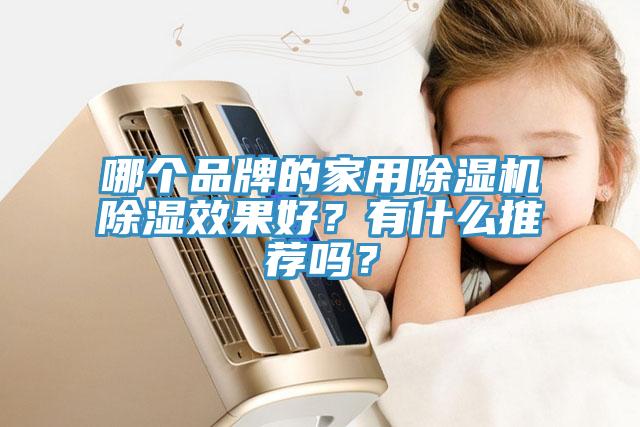 哪個品牌的家用除濕機除濕效果好？有什么推薦嗎？