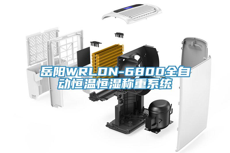 岳陽WRLDN-6800全自動恒溫恒濕稱重系統