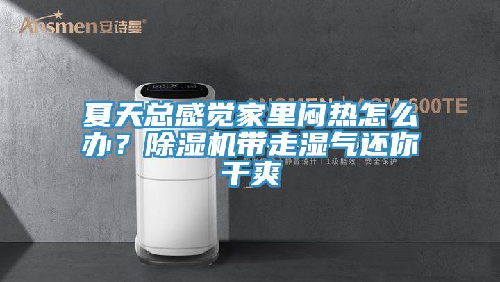 夏天總感覺家里悶熱怎么辦？除濕機帶走濕氣還你干爽