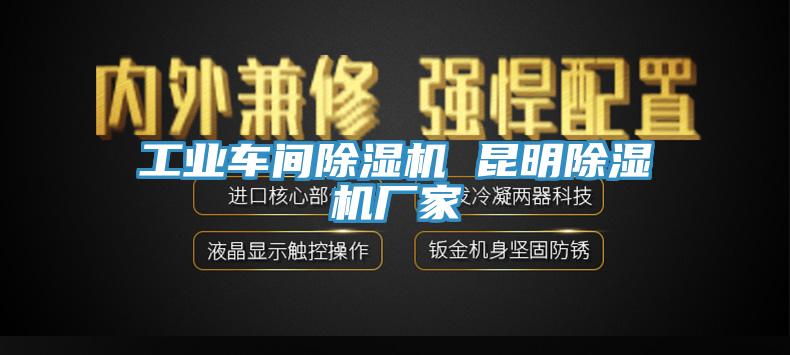 工業車間除濕機 昆明除濕機廠家