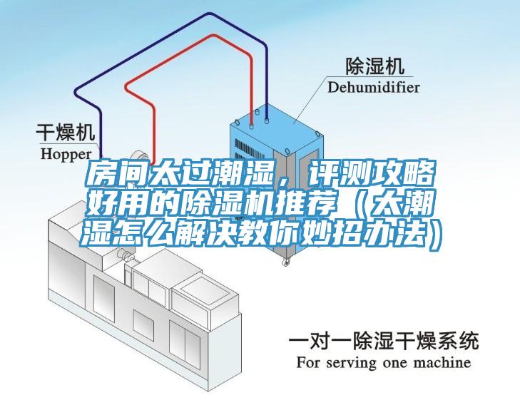 房間太過(guò)潮濕，評(píng)測(cè)攻略好用的除濕機(jī)推薦（太潮濕怎么解決教你妙招辦法）