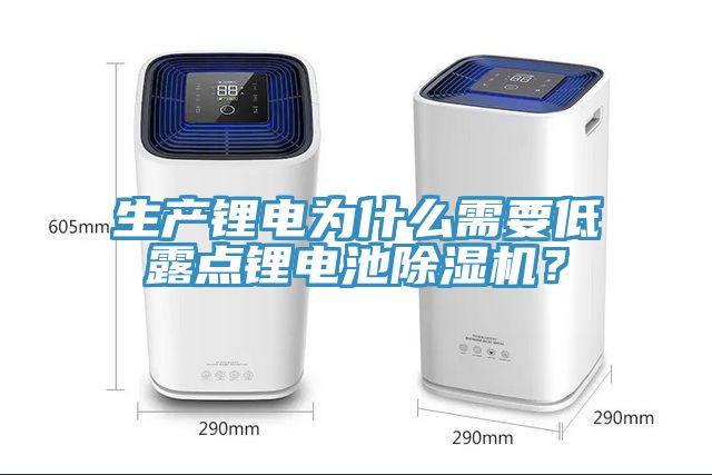 生產(chǎn)鋰電為什么需要低露點鋰電池除濕機？