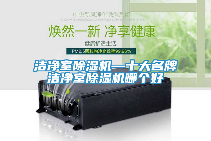 潔凈室除濕機(jī)—十大名牌潔凈室除濕機(jī)哪個好