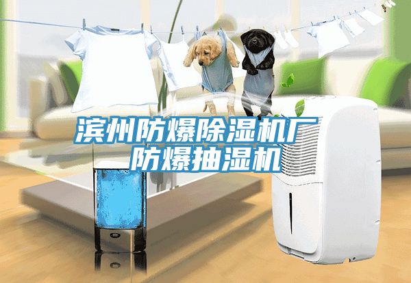 濱州防爆除濕機(jī)廠 防爆抽濕機(jī)