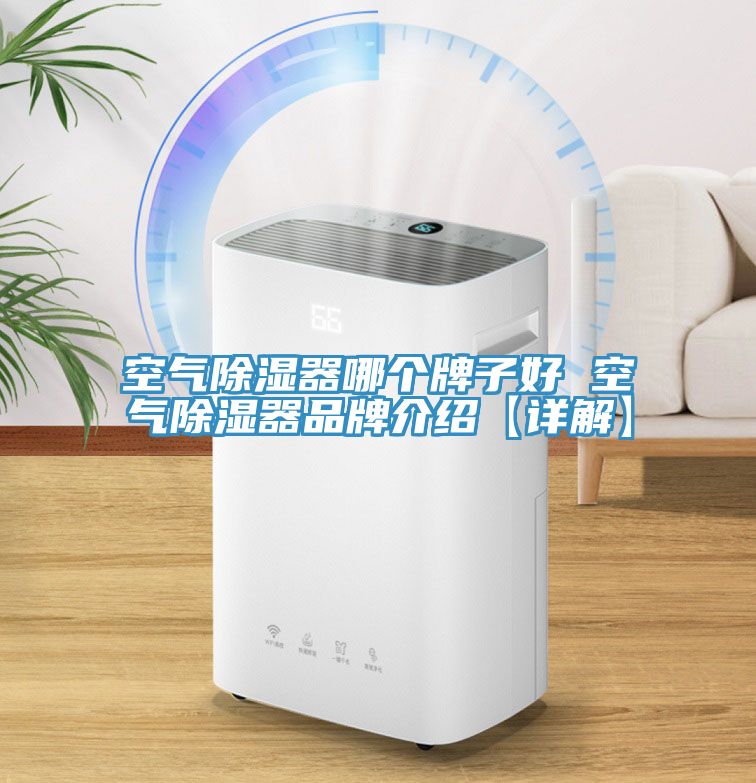 空氣除濕器哪個(gè)牌子好 空氣除濕器品牌介紹【詳解】