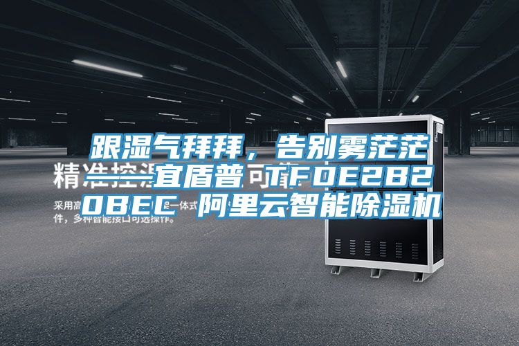 跟濕氣拜拜，告別霧茫茫——宜盾普 TFDE2B20BEC 阿里云智能除濕機