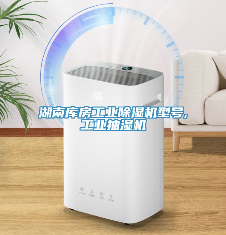 湖南庫房工業除濕機型號,工業抽濕機