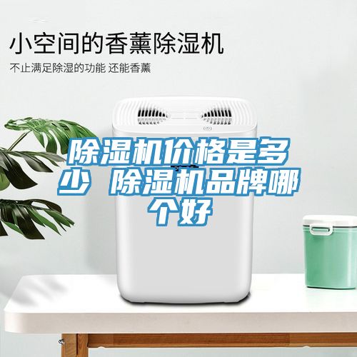 除濕機價格是多少 除濕機品牌哪個好