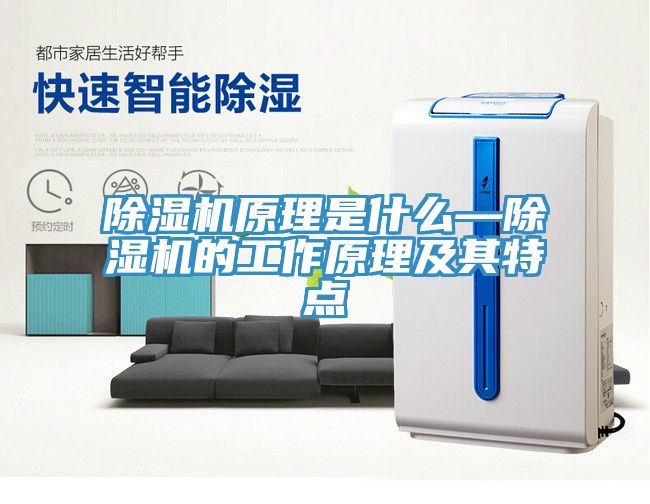 除濕機原理是什么—除濕機的工作原理及其特點