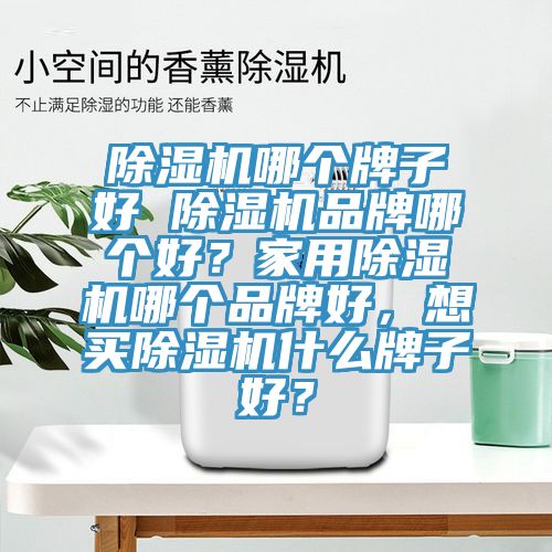 除濕機哪個牌子好 除濕機品牌哪個好？家用除濕機哪個品牌好，想買除濕機什么牌子好？