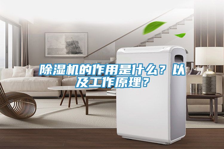 除濕機(jī)的作用是什么？以及工作原理？