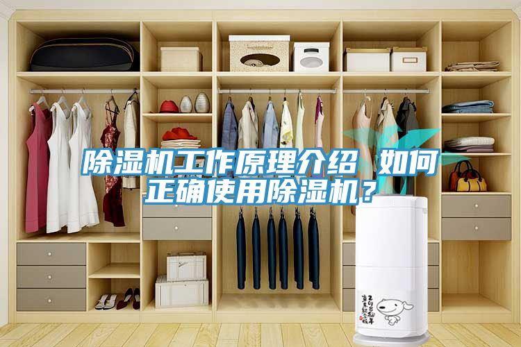 除濕機工作原理介紹 如何正確使用除濕機？